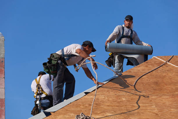 Best Best Roofing Contractors  in Arapahoe, WY